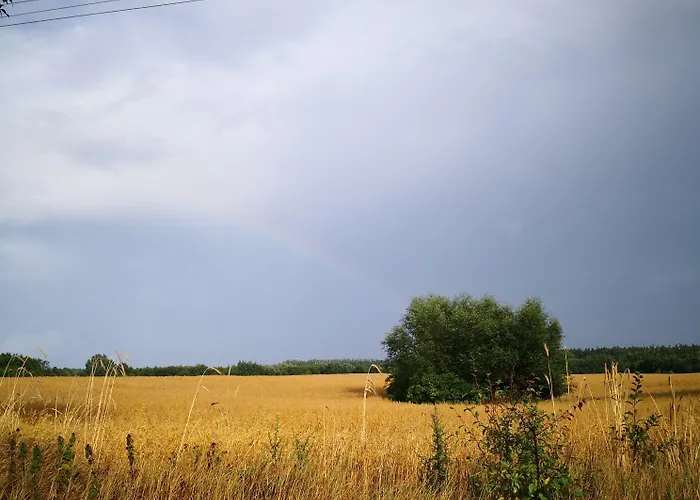 Drewniane Alpejskie Horská chata