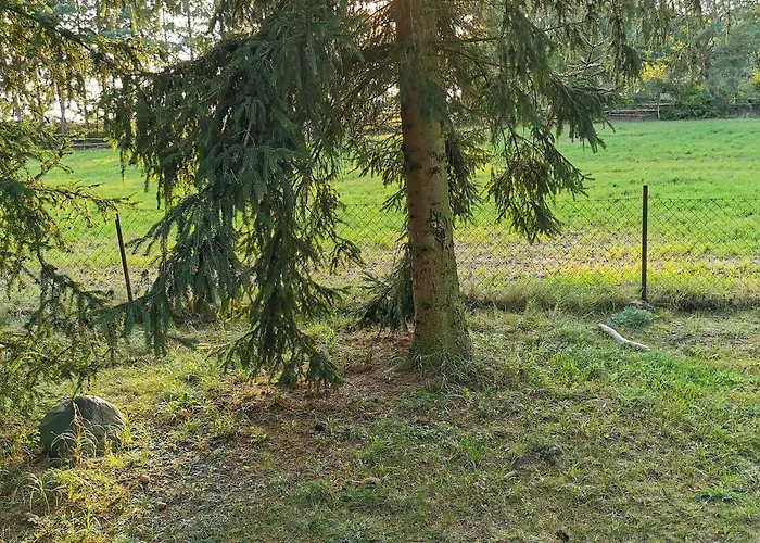 Drewniane Alpejskie Horská chata Swietne