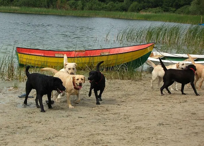 Drewniane Alpejskie Swietne