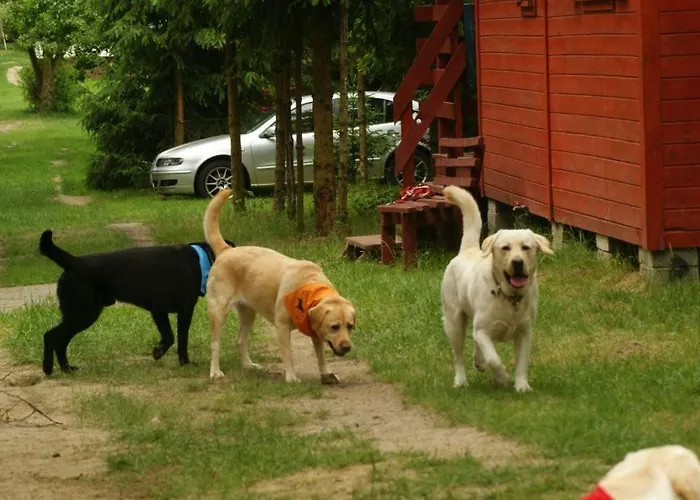 Horská chata Drewniane Alpejskie *